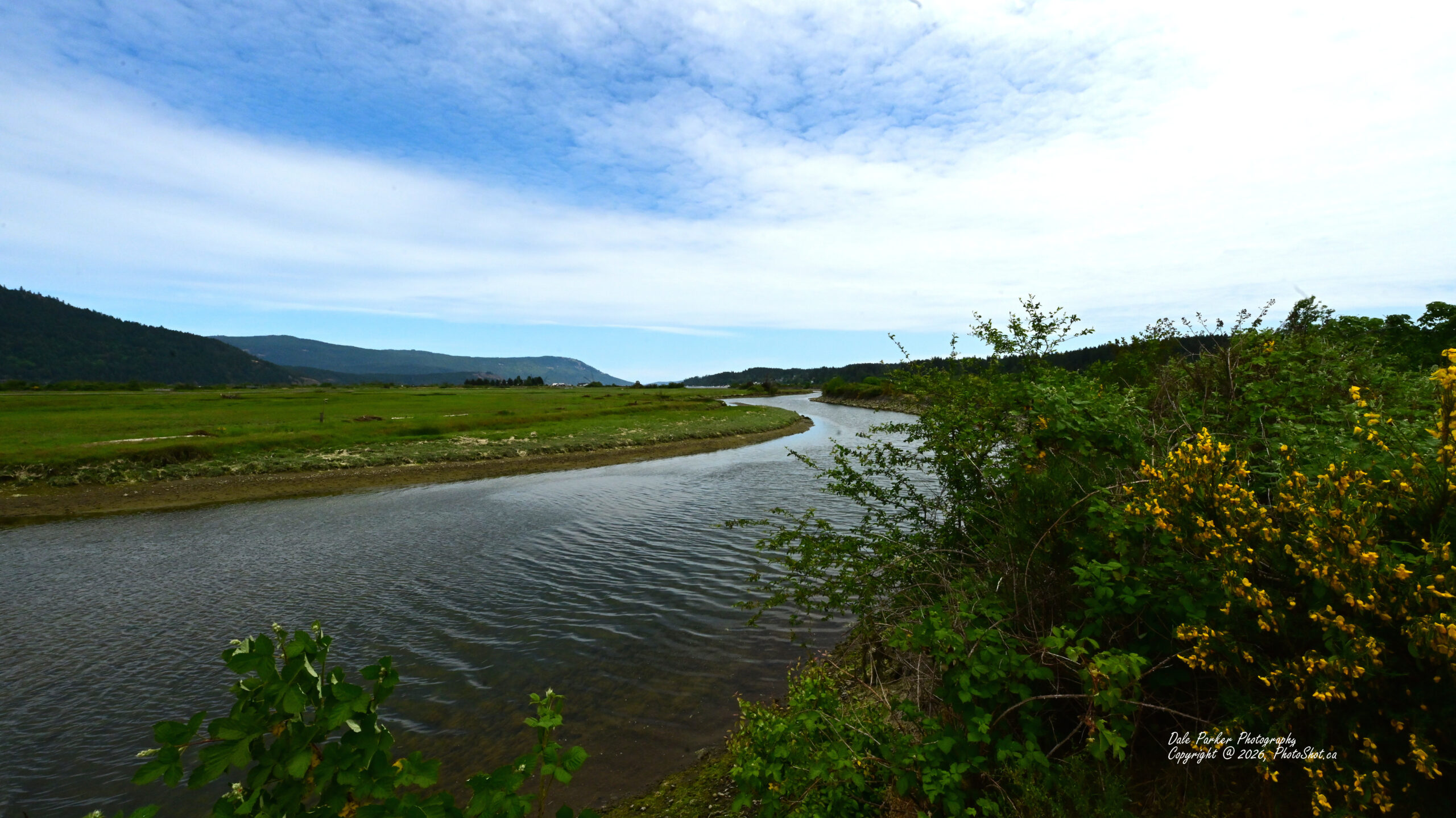 Cowichan Estuary Wide